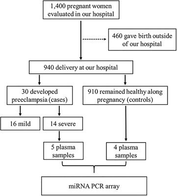 Circulating MicroRNAs in the Second Trimester From Pregnant Women Who Subsequently Developed Preeclampsia: Potential Candidates as Predictive Biomarkers and Pathway Analysis for Target Genes of miR-204-5p